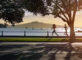 Auckland City Highlights Small Group Tour - Photo 1 of 6